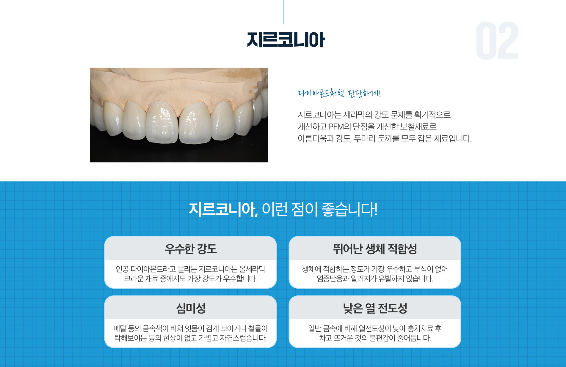 지르코니아